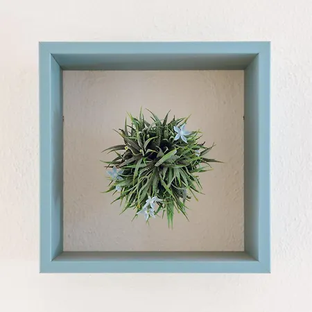 Sea La Vie, 5 Minuti Dalla Cinta Apartment *