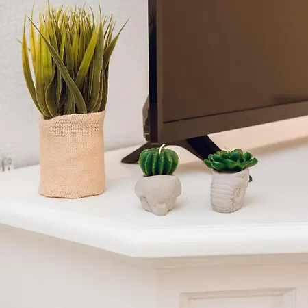 Sea La Vie, 5 Minuti Dalla Cinta Apartament *